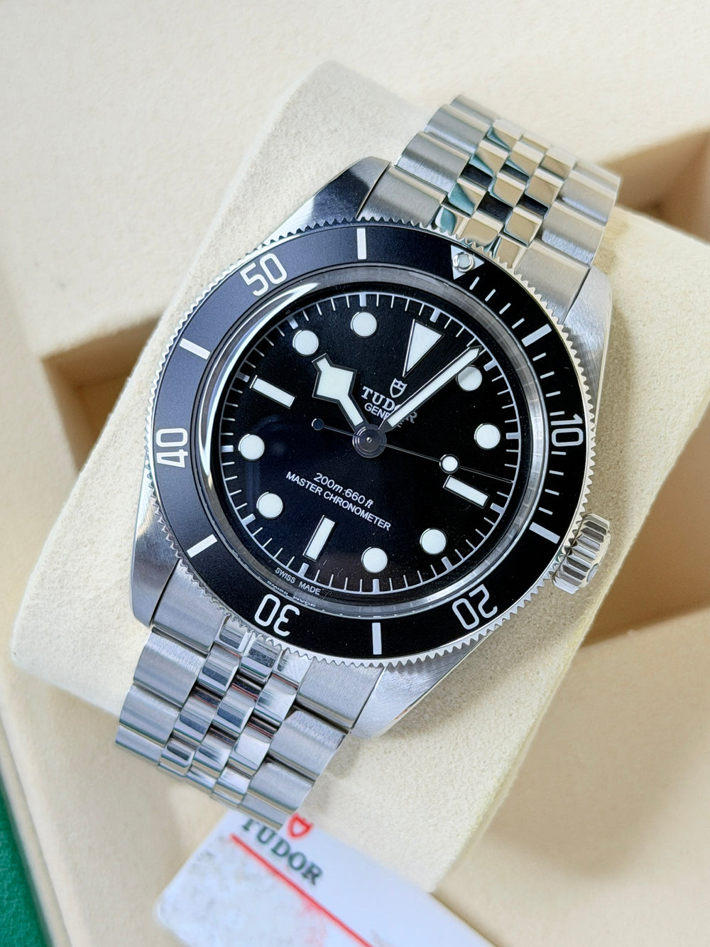 Tudor Black Bay 41 Monochrome 2025